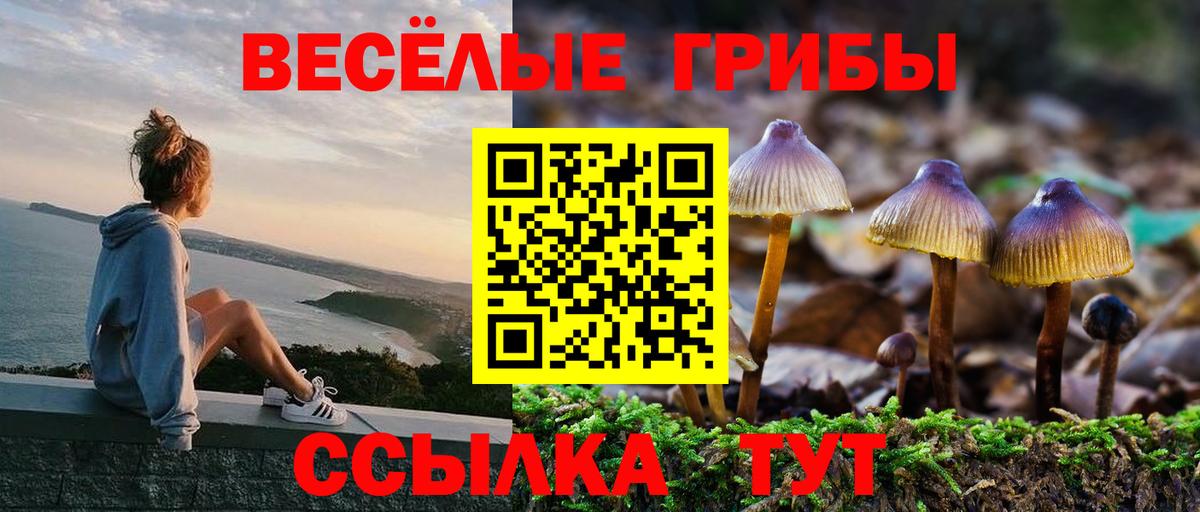 Псилоцибиновые грибы Cubensis Таганрог
